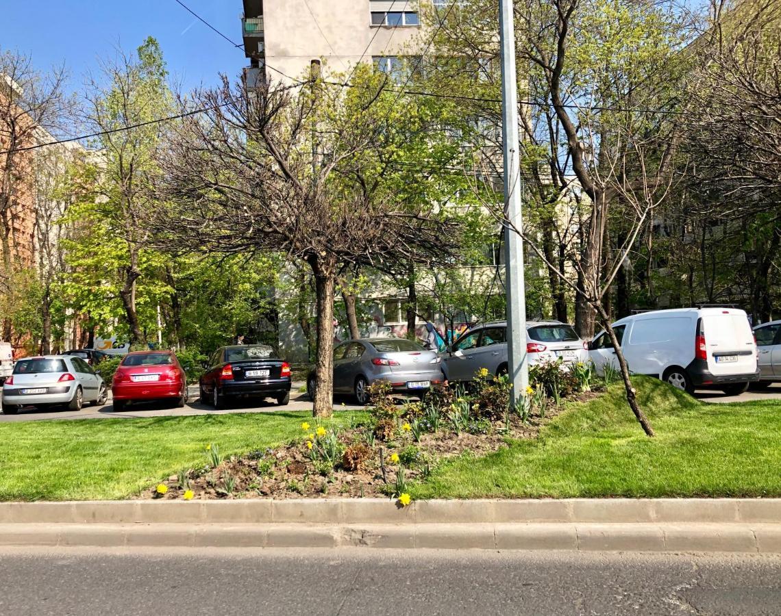 Cozy And Clean Apartment, Near National Arena Bucharest Exterior photo